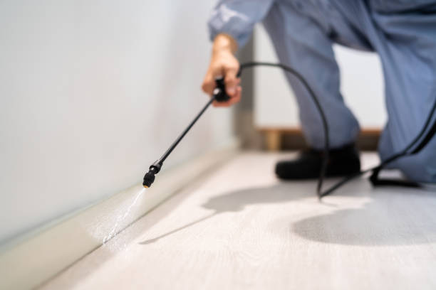 Certified termite inspector examining foundation in Midway City