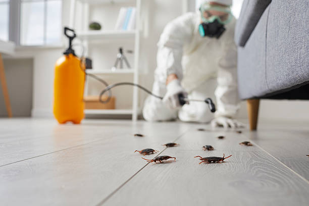 Post-Treatment Bed Bug Interceptor Monitoring in Midway City