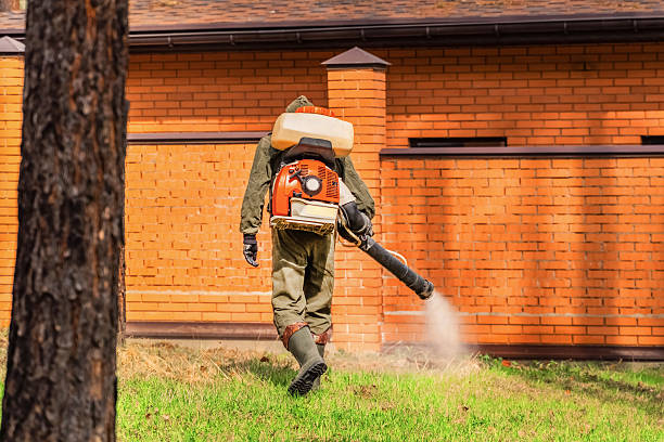Bed Bug Clearance Verification and Documentation in Midway City